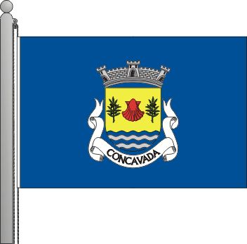 Bandeira da freguesia de Concavada