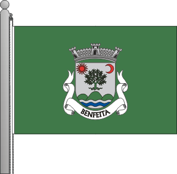 Bandeira da freguesia de Benfeita