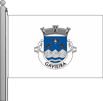 Bandeira da freguesia de Gavieira