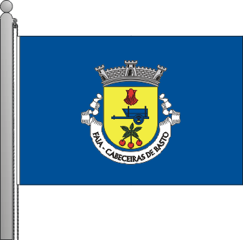 Bandeira da freguesia de Faia