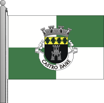 Bandeira do municpio de Castro Daire