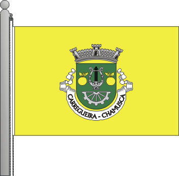 Bandeira da freguesia de Carregueira