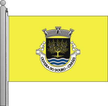Bandeira da freguesia de Oliveira do Douro