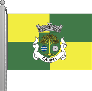 Bandeira da freguesia de Cadima