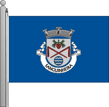 Bandeira da freguesia de Sanguinheira