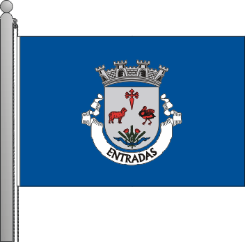 Bandeira da freguesia de Entradas