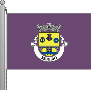 Bandeira da freguesia de Bedudo