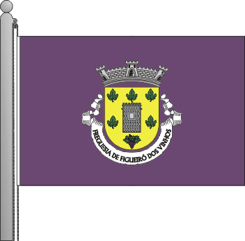 Bandeira da freguesia de Figueir dos Vinhos
