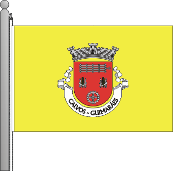 Bandeira da freguesia de Calvos