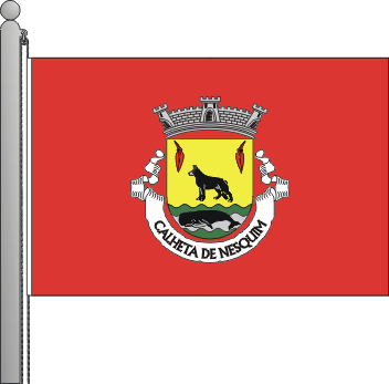 Bandeira da freguesia de Calheta de Nesquim