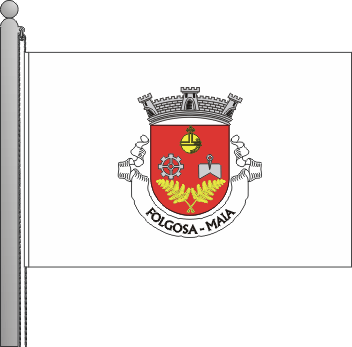 Bandeira da freguesia de Folgosa