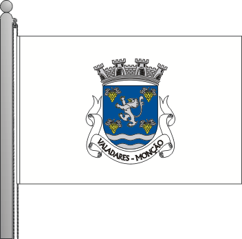 Bandeira da freguesia de Valadares