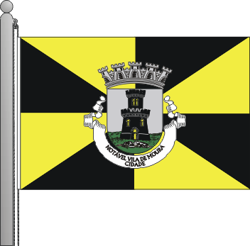 Bandeira do municpio de Moura