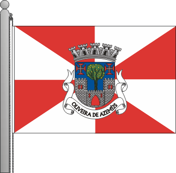 Bandeira do municpio de Oliveira de Azemis