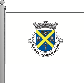 Bandeira da freguesia de Travanca