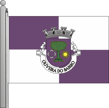 Bandeira do municpio de Oliveira do Bairro