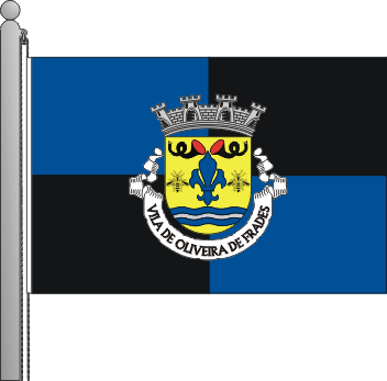Bandeira do municpio de Oliveira de Frades