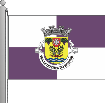 Bandeira do municpio de Oliveira do Hospital
