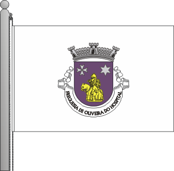 Bandeira da freguesia de Oliveira do Hospital