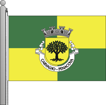 Bandeira da freguesia de Carvalho