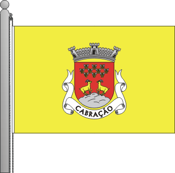 Bandeira da freguesia de Cabrao