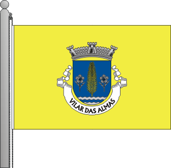 Bandeira da freguesia de Vilar das Almas