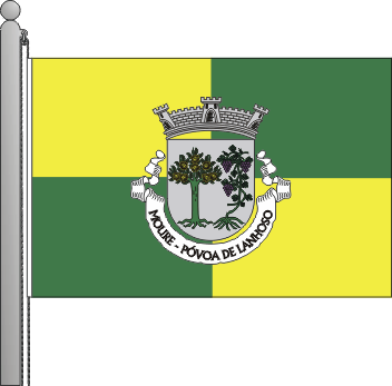 Bandeira da freguesia de Moure