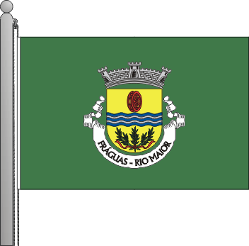 Bandeira da freguesia de Frguas