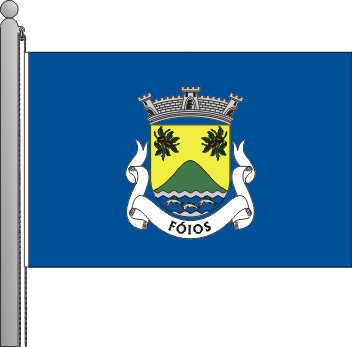 Bandeira da freguesia de Fios