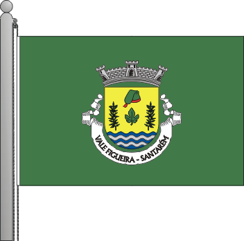 Bandeira da freguesia de Vale de Figueira