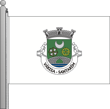 Bandeira da freguesia de Vrzea