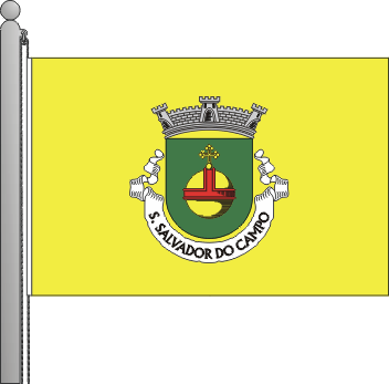 Bandeira da freguesia de So Salvador do Campo