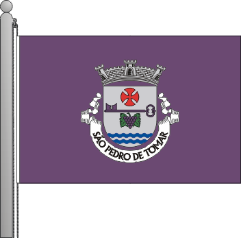 Bandeira da freguesia de So Pedro de Tomar