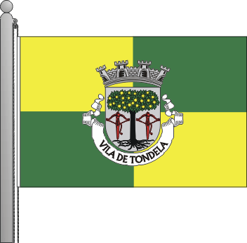 Bandeira do municpio de Tondela