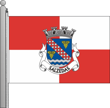 Bandeira da freguesia de Salzedas