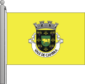 Bandeira do Municpio de Vale de Cambra