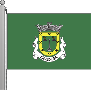 Bandeira da freguesia de Ervedosa