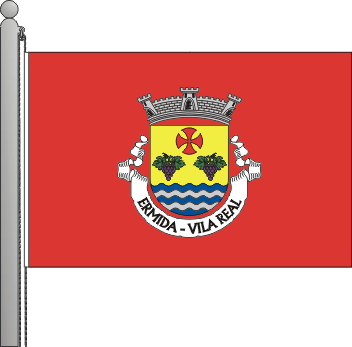 Bandeira da freguesia de Ermida