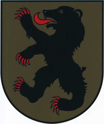 Arms of Valka (district)