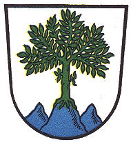 Wappen von Niederaschau/Arms of Niederaschau