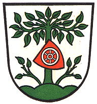 Wappen von Buchen (Odenwald) / Arms of Buchen (Odenwald)