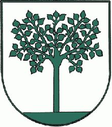 Wappen von Birkfeld/Arms (crest) of Birkfeld