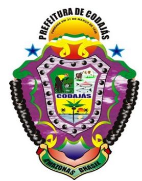 Brasão de Codajás/Arms (crest) of Codajás