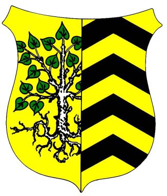 Wappen von Nauheim (Hünfelden)