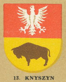 Arms of Knyszyn