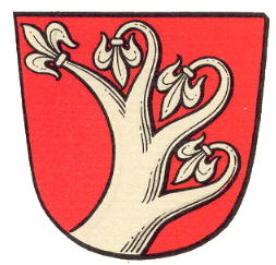Wappen von Wellerode / Arms of Wellerode