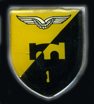 File:Air Force Pioneer Training Squadron 1, German Air Force.jpg