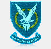 Coat of arms (crest) of the No 60 Squadron, South African Air Force