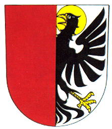 Arms of Pilníkov