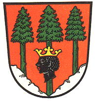 Wappen von Mittenwald/Arms of Mittenwald